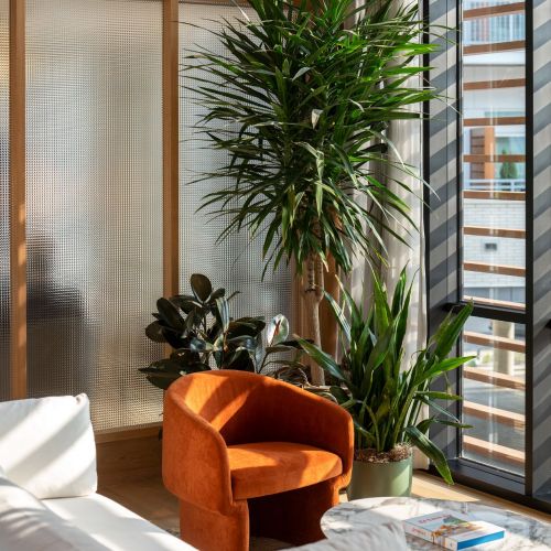 Aster amenity bridge