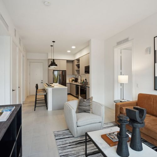 LivingSpaceAndKitchen