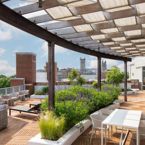 Overlook sweeping views of DC from one of many rooftop terraces