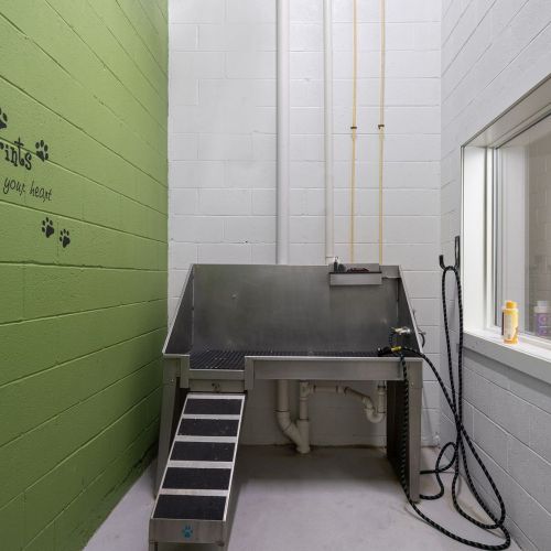 On-site pet spa with dog wash