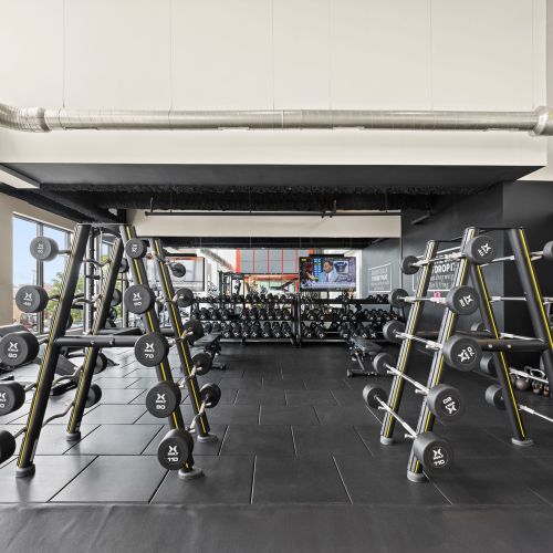 Fitness Center Weights