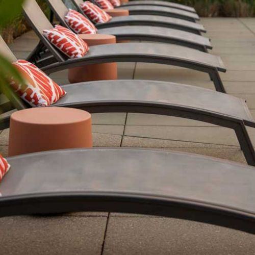 Enjoy the views from the top.