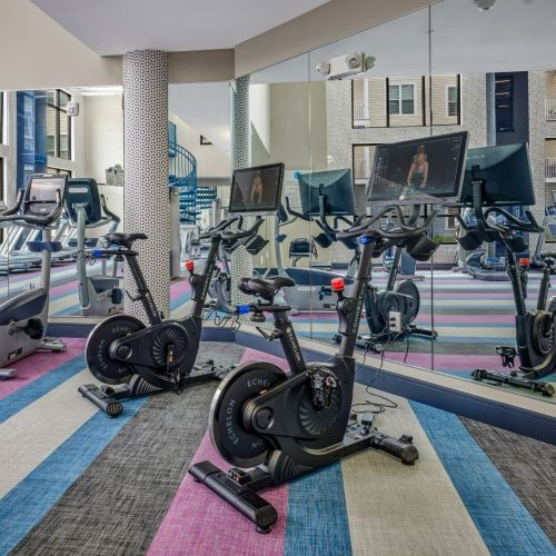 Cardio Equipment