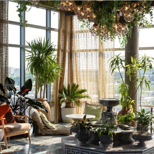 Immerse yourself in the beauty of our indoor garden sanctuary.