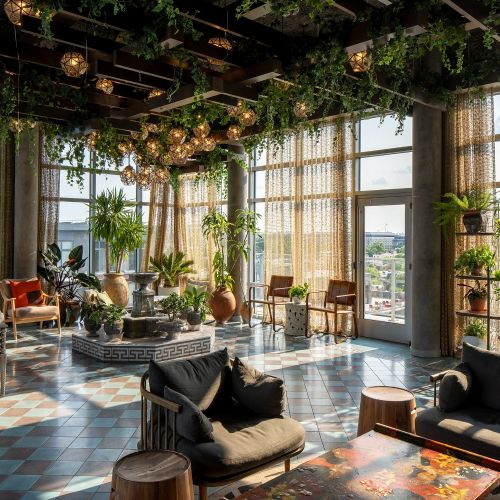 Discover the perfect blend of nature and luxury in our conservatory.