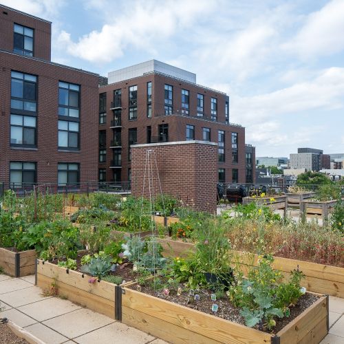 Indulge in the joy of gardening or simply unwind in our rooftop green space.
