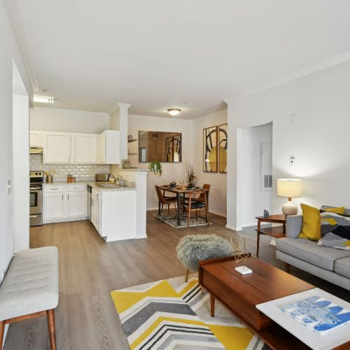 Apartment living and dining room