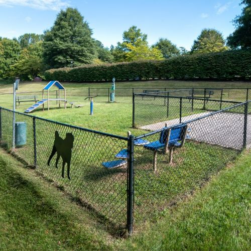 Alvista Bowie dog park