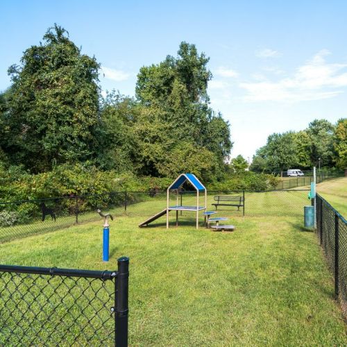 Alvista Bowie dog park