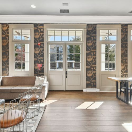 Alvista bowie clubroom