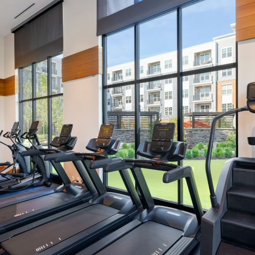 Fitness Center - Cardio Equipment 