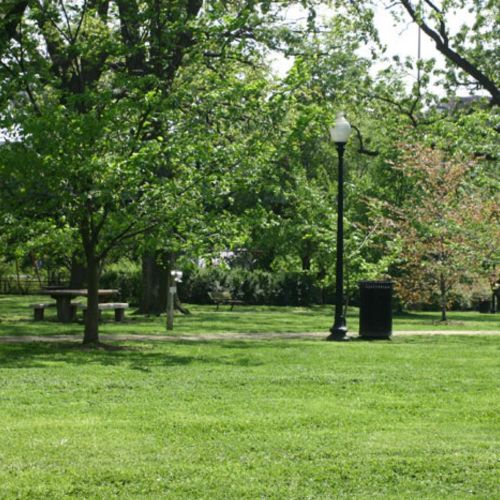 Take a stroll and view the beautiful nature in Garfield Park.