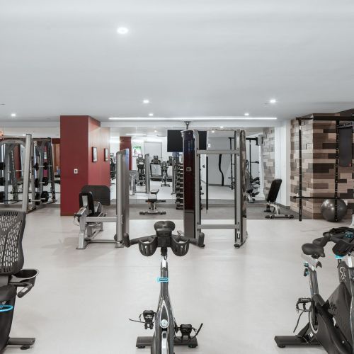 Cardio bikes in fitness center