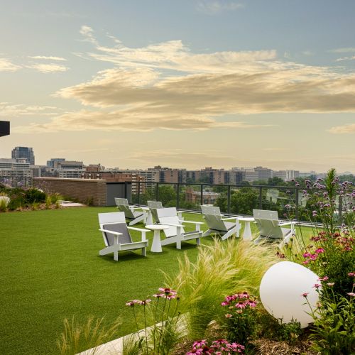 A lawn for relaxation