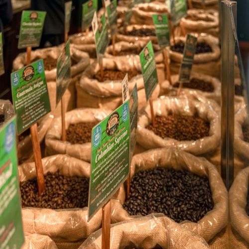 Explore Local Coffee Shops