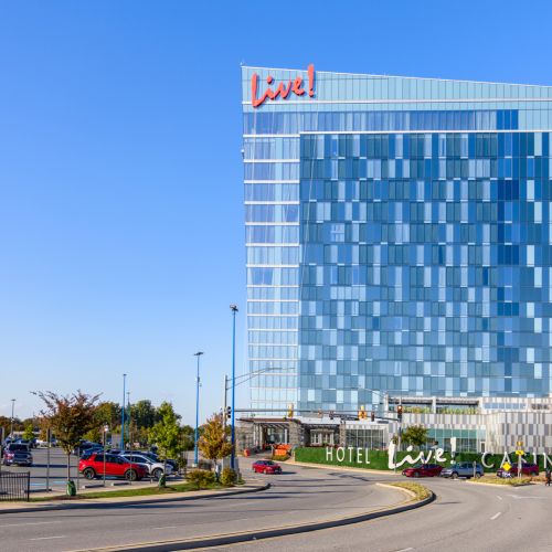 Experience the Thrill of the Casino