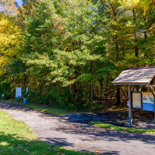 Your Neighborhood's Hidden Treasure