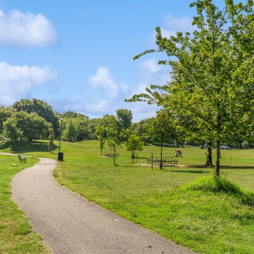 Have play timewith family at the neigborhood park. 