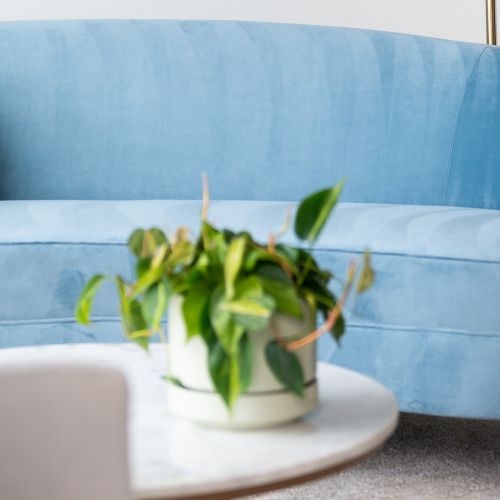 Find your santuary in the city.