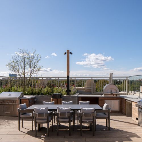 Serene natural rooftop views