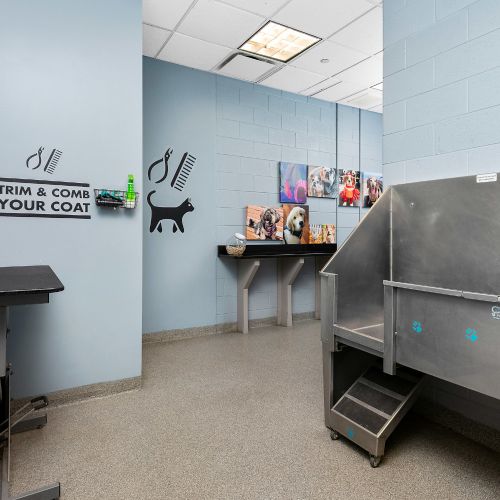 Wide angle of the on-site pet spa's washing station and grooming table.