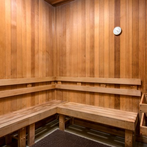 Inside view of the sauna and available bench seating.