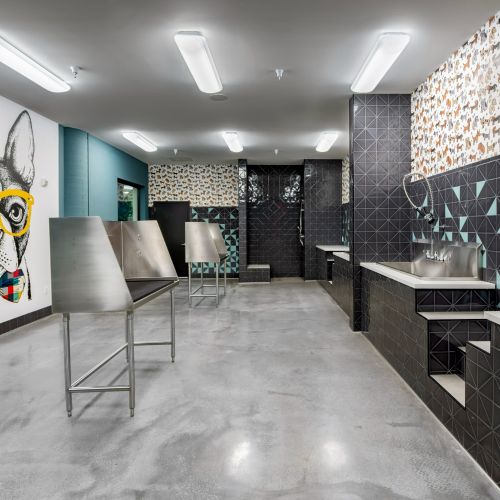 Pet spa to keep your furry friend smelling amazing