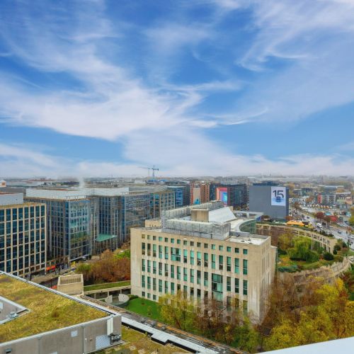 Embrace the culture of the city.