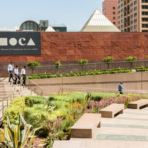 The Museum of Contemporary Art, MOCA