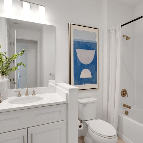 Walk-in showers and tubs	