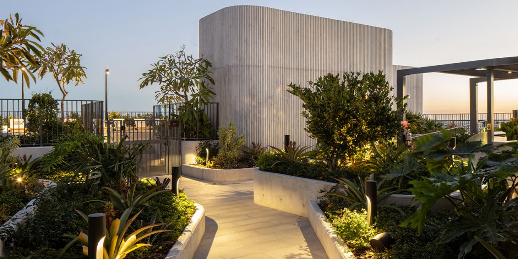 A patio garden with a variety of plants leads the way to a rooftop pool