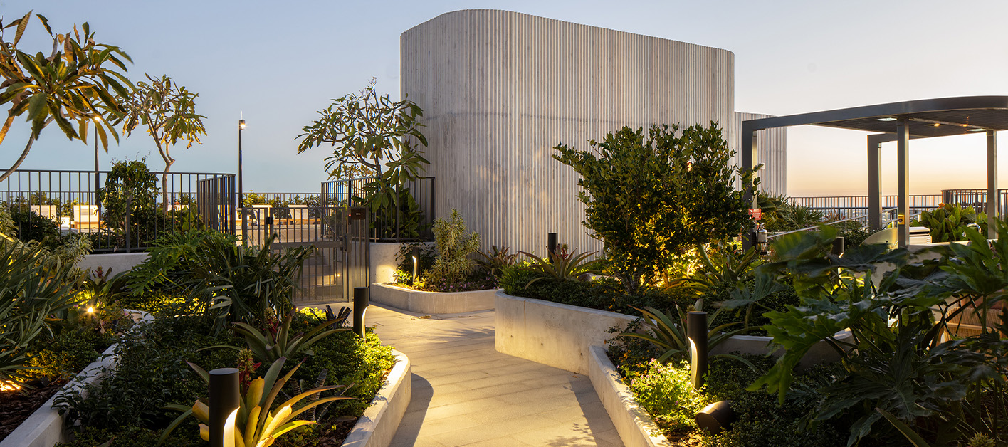 A patio garden with a variety of plants leads the way to a rooftop pool