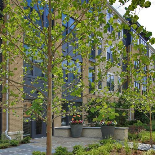 Beautiful landscape architecture invites you to The Alcott