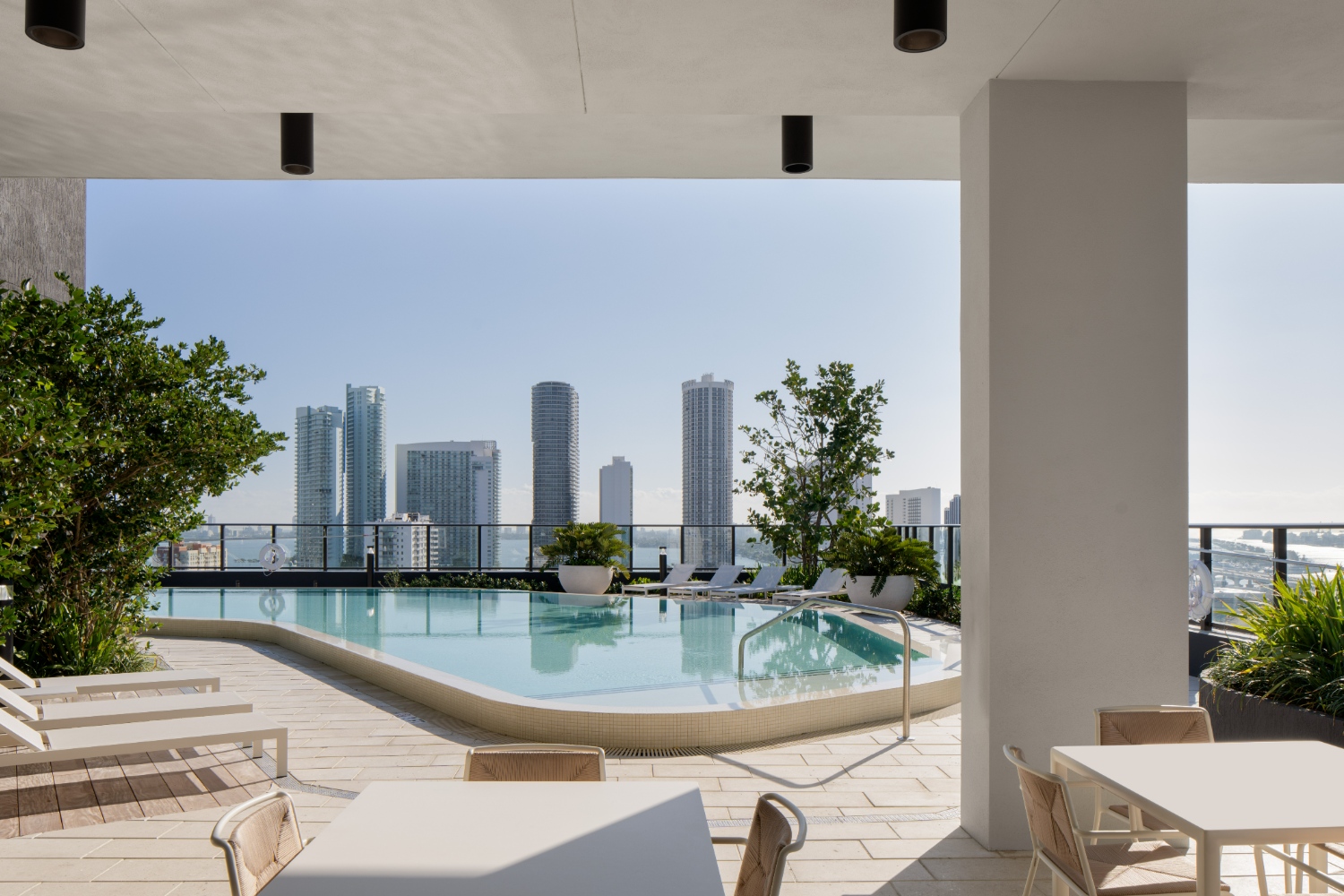Wynwood Haus : Sunny rooftop resort style pool and lounge