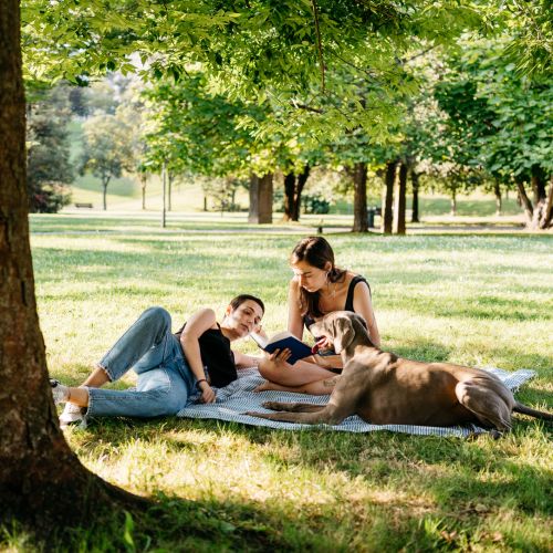 Nearby greenspace like Maplewood Alta Vista Park provides an oasis for our residents.	