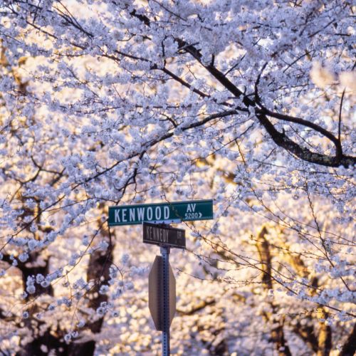 Be at home in Bethesda, the renowned enclave outside the nation’s capital.