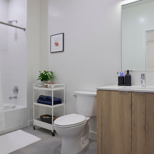 Envision yourself in harmony with us.