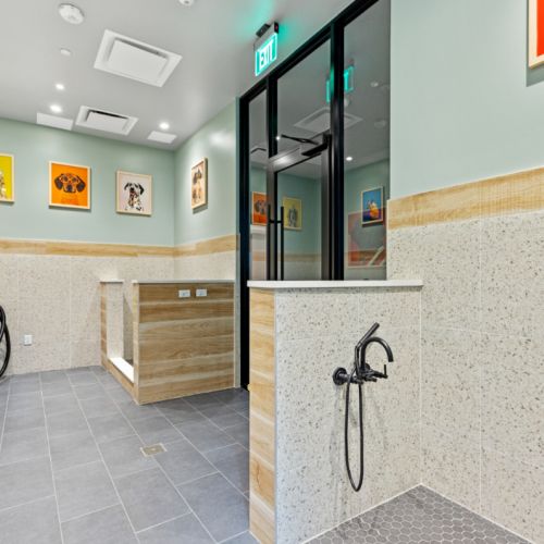 NOVEL Beach Park pet friendly dog spa