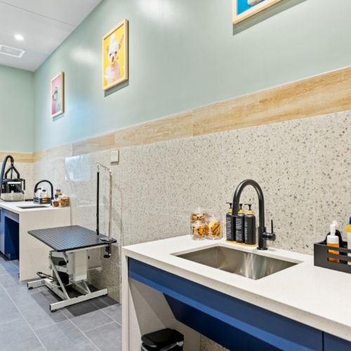 NOVEL Beach Park pet friendly dog spa