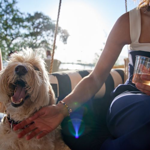 NOVEL Beach Park pet friendly community resident event