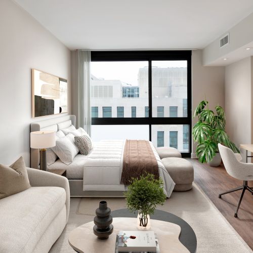565 Penn Residences : Large floor to ceiling windows bring in the perfect afternoon lighting	