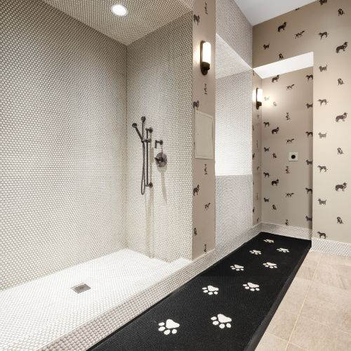 Keep your furry ones smelling fresh in our pet spa