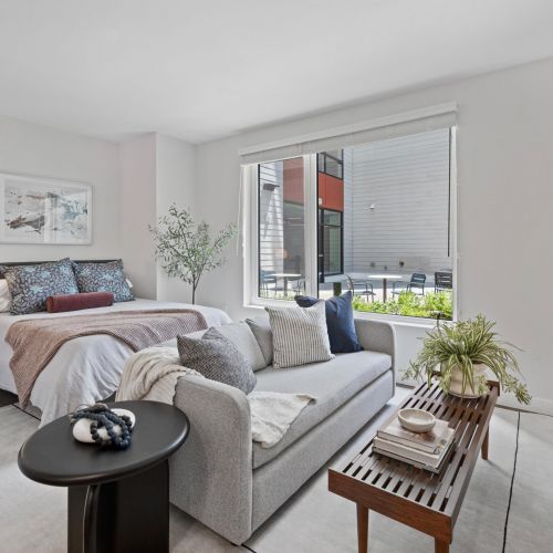 Cozy living space in the studio apartment.