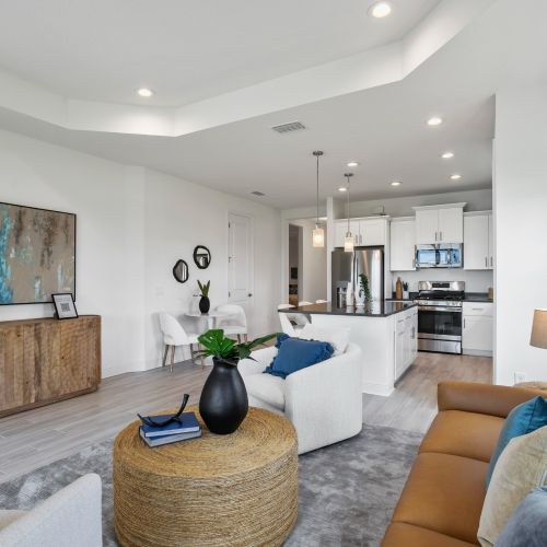 Open concept living room and kitchen