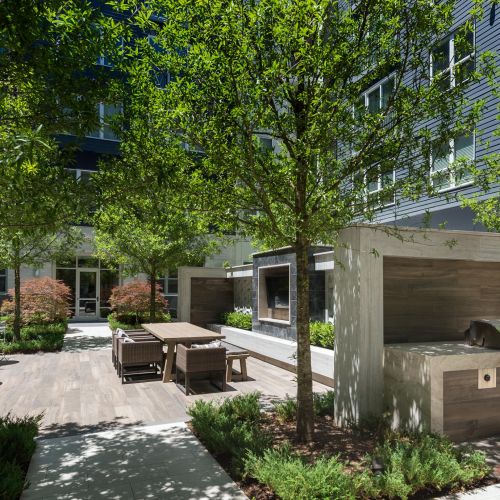 Cirro King of Prussia