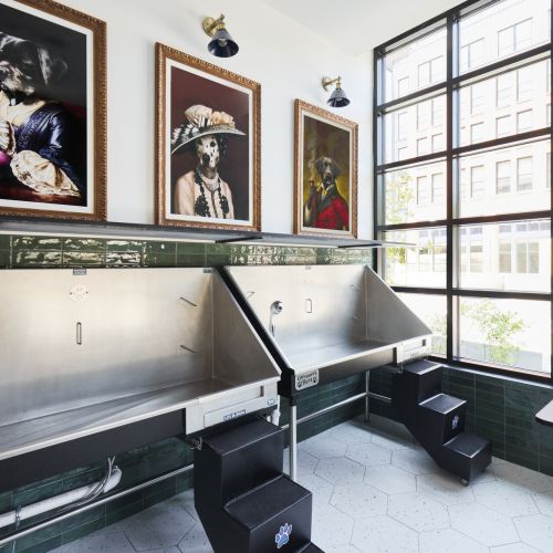 Reynard-Luxury-Pet-spa-in-Washington-D.C.-Metro	