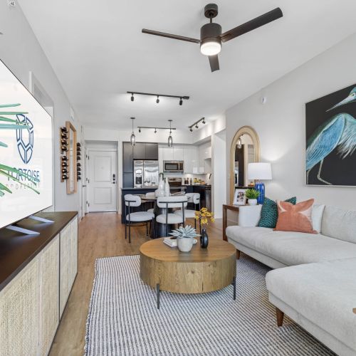 Living room and kitchen