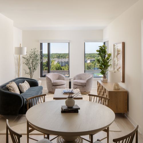 1 Bedroom Living Room