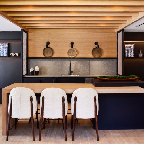 Oakville-Luxury-Community-Kitchen-in-Alexandria-Virginia