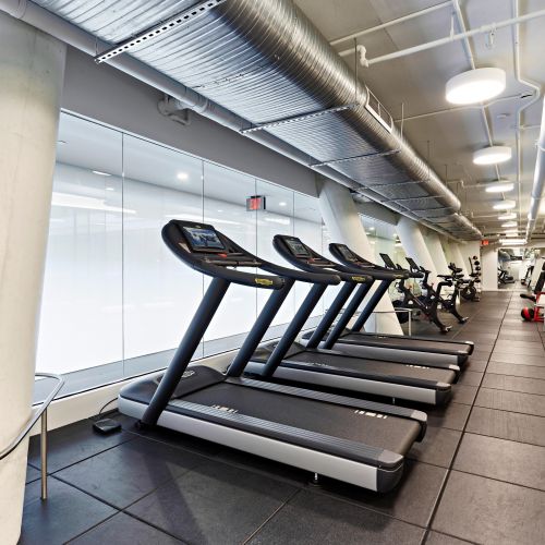 Expansive gym showcasing cardio equipment